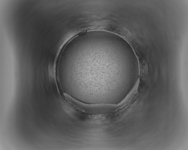 X0000110770100200906221150