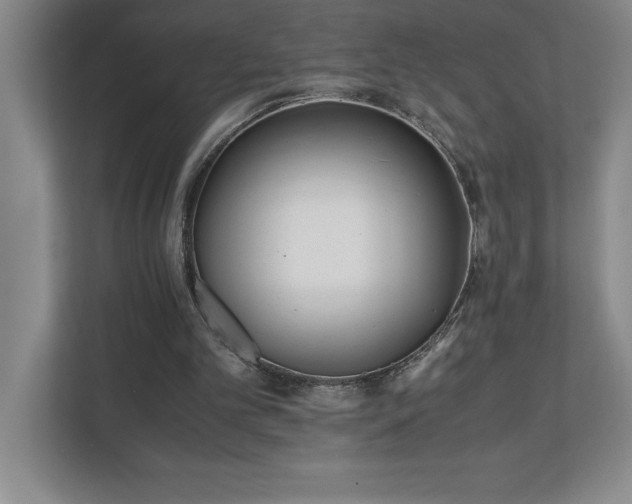 X0000110770101200906221150