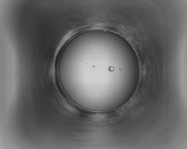 X0000110770102200906221150