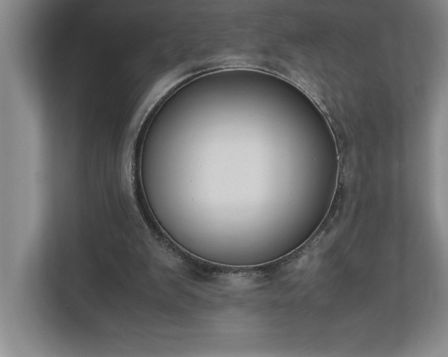 X0000110770103200906221150