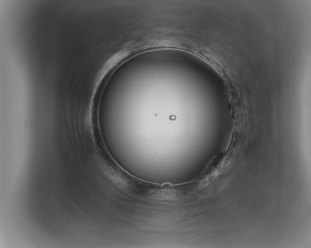 X0000110770104200906221150