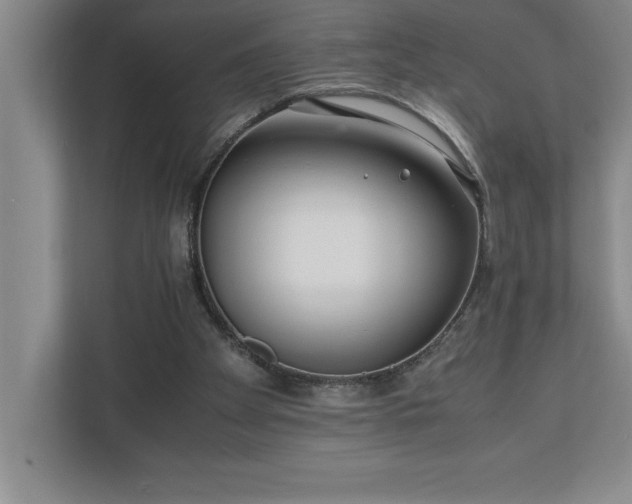 X0000110770105200906221150