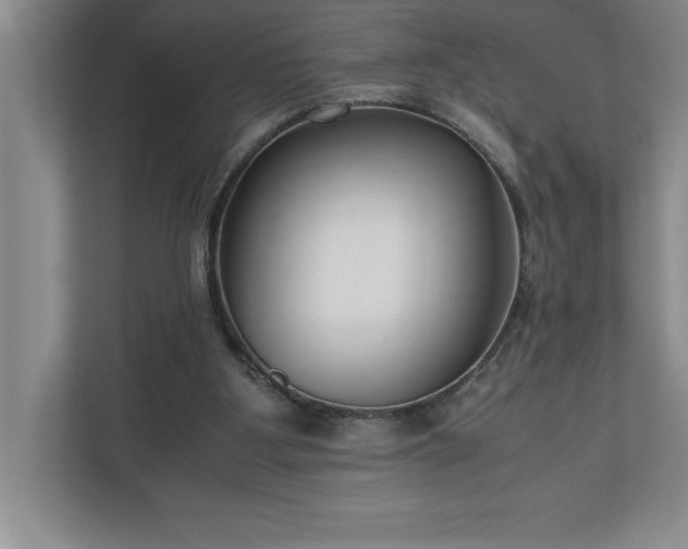 X0000110770107200906221150