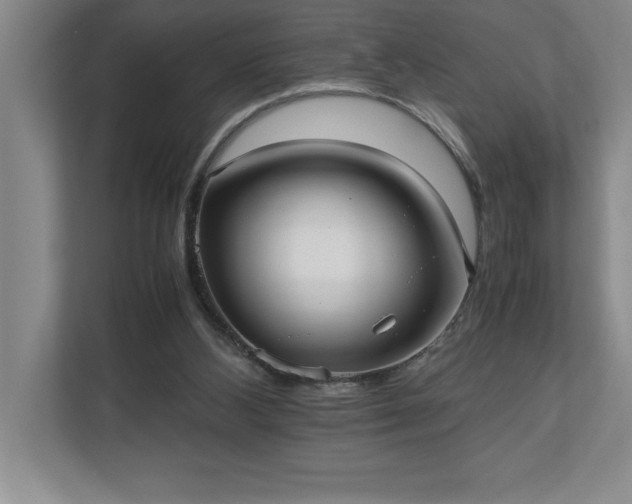 X0000110770108200906221150