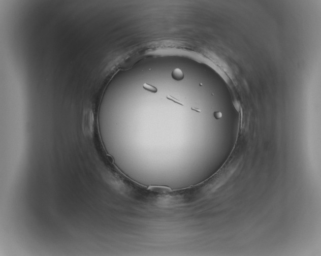 X0000110770109200906221150