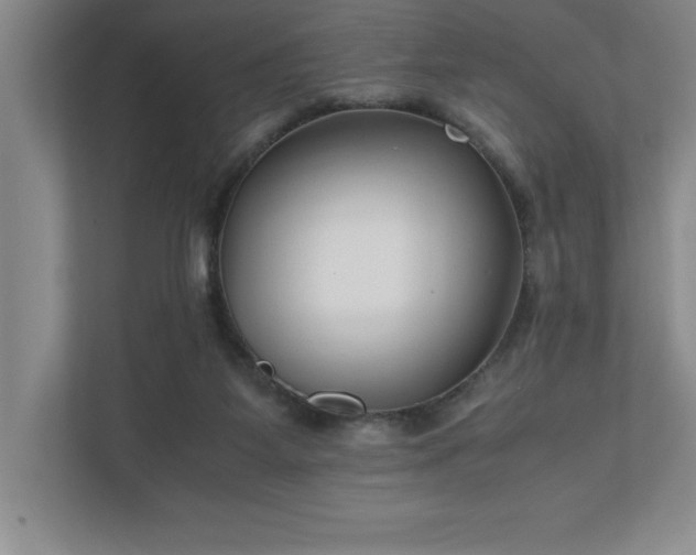 X0000110770115200906221150