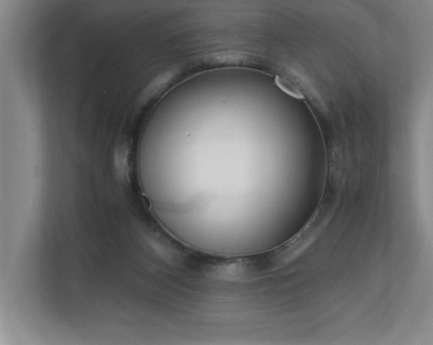 X0000110770116200906221150