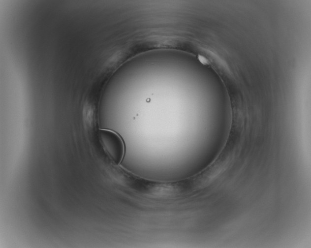 X0000110770123200906221150