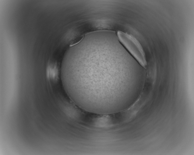 X0000110770124200906221150