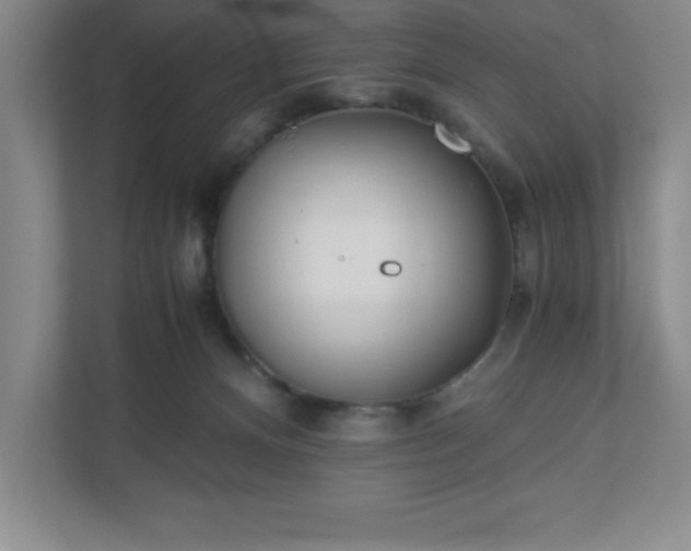 X0000110770128200906221150