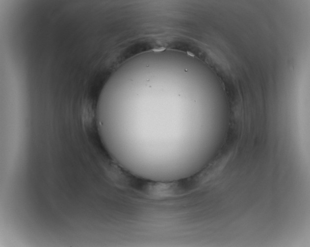 X0000110770129200906221150