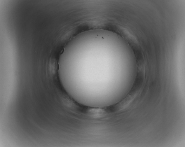 X0000110770133200906221150