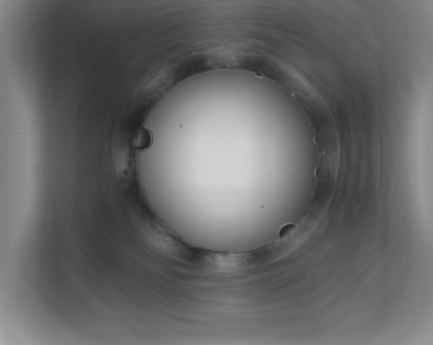 X0000110770134200906221150