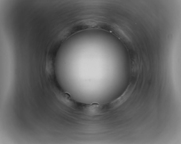 X0000110770136200906221150