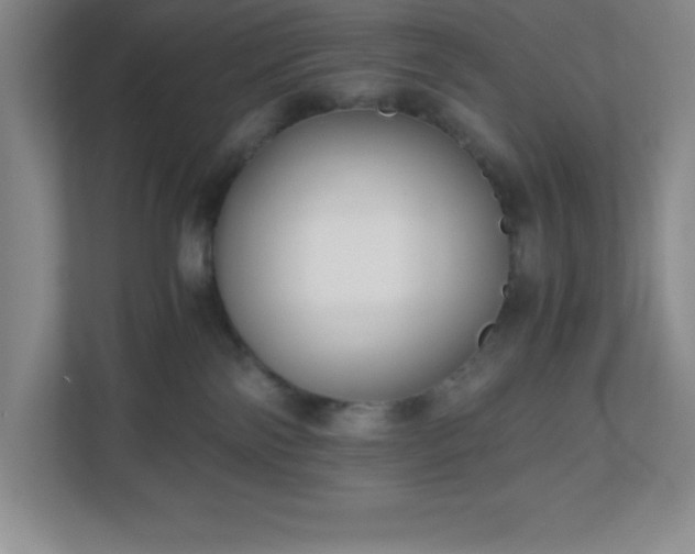 X0000110770138200906221149