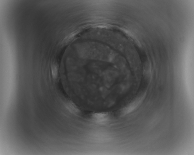 X0000110770139200906221149