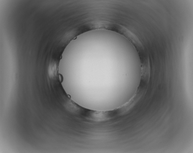 X0000110770142200906221149