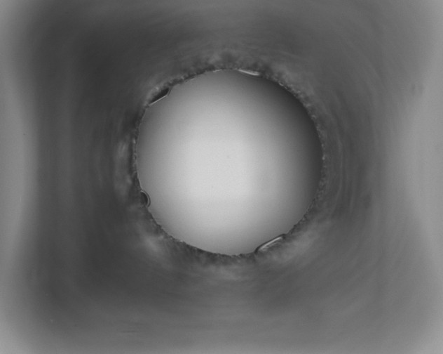 X0000110770144200906221149