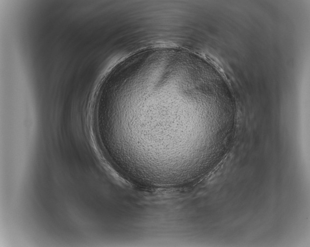 X0000110770145200906221149