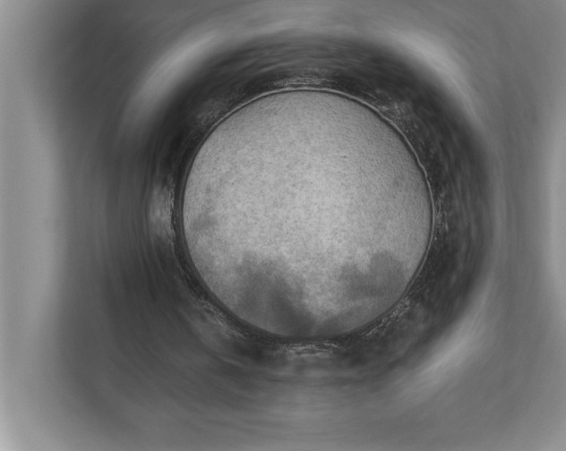 X0000110770146200906221149