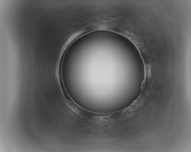 X0000110770147200906221149