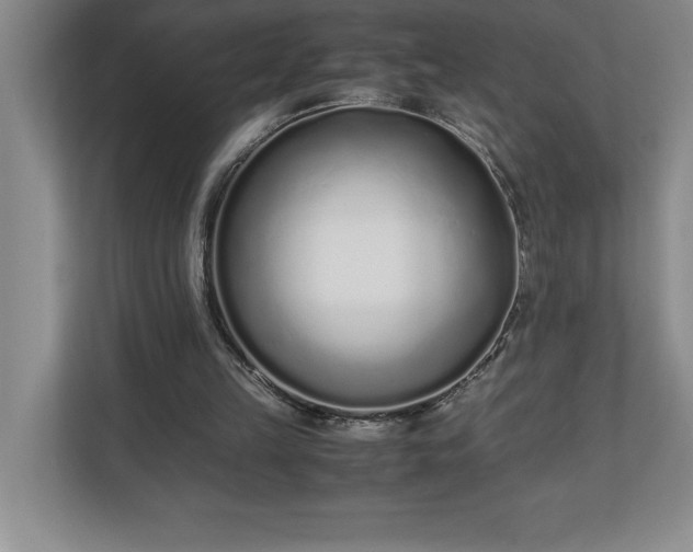 X0000110770149200906221149