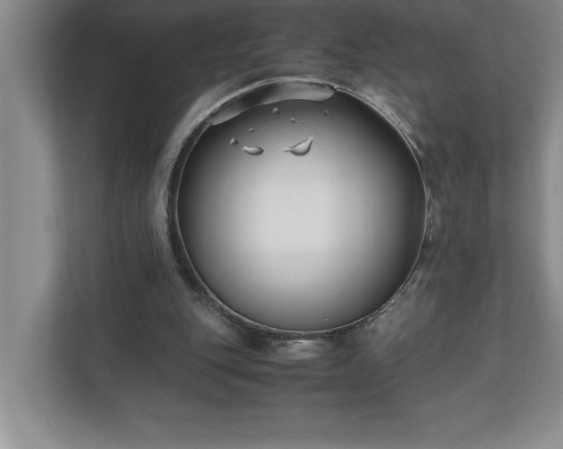 X0000110770151200906221149