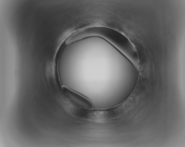 X0000110770152200906221149