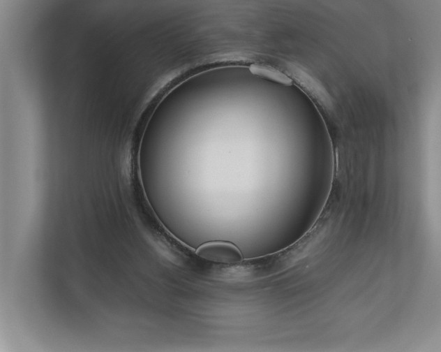 X0000110770156200906221149