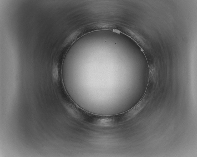 X0000110770158200906221149