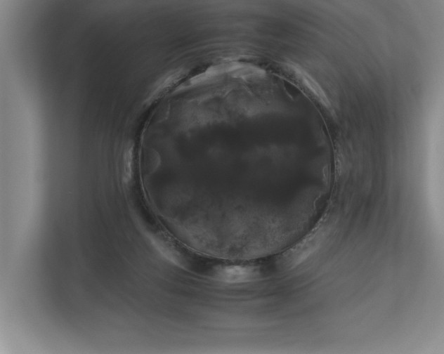 X0000110770163200906221149