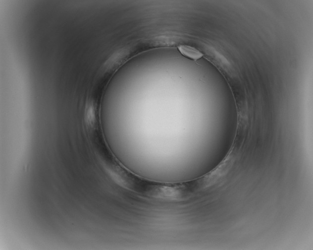 X0000110770166200906221149