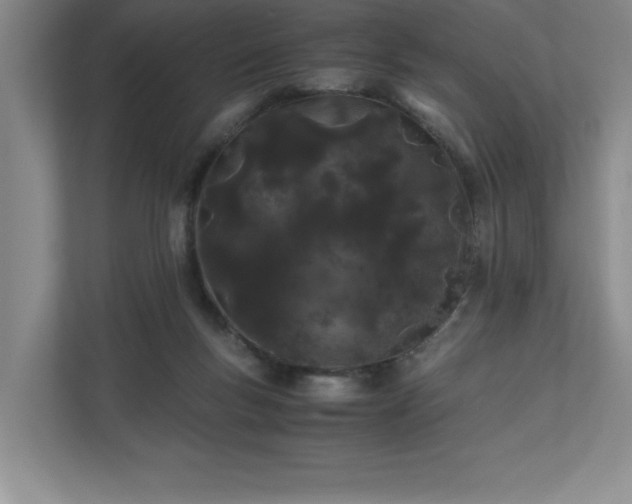 X0000110770167200906221149