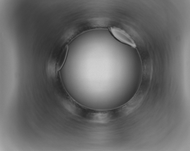 X0000110770168200906221149