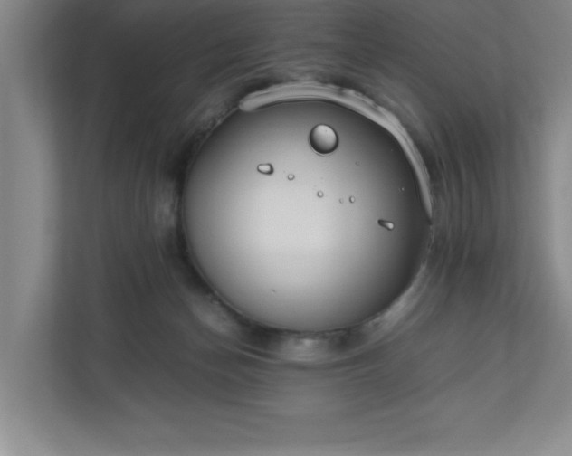 X0000110770174200906221149