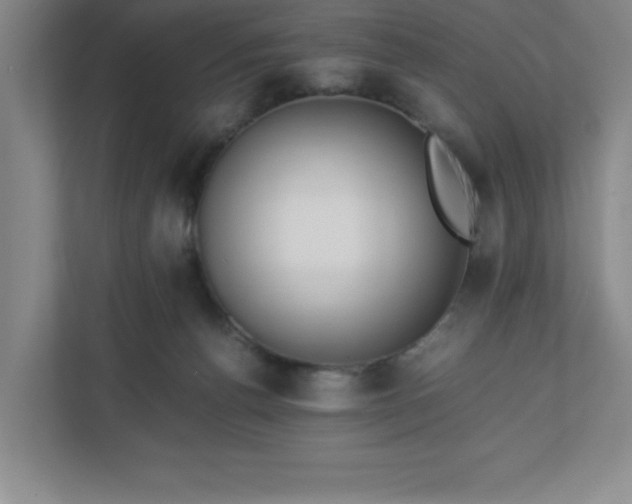 X0000110770176200906221149