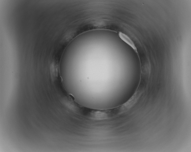 X0000110770180200906221149