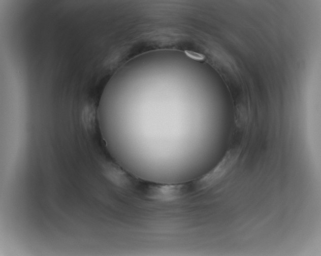 X0000110770184200906221149