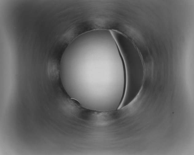 X0000110770186200906221149