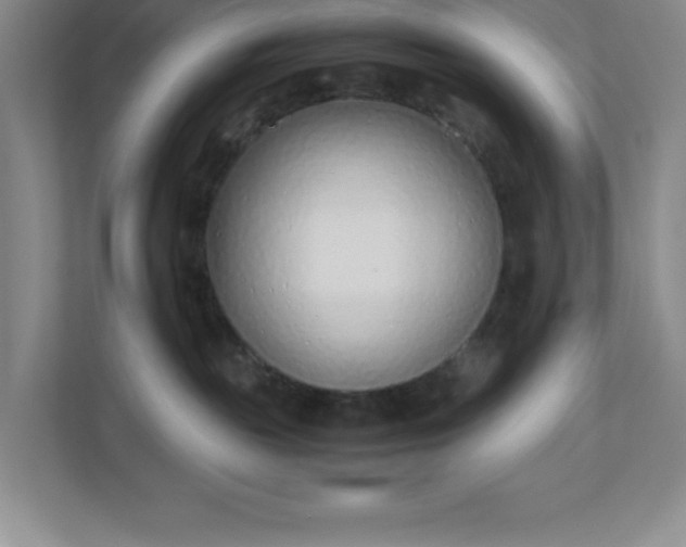 X0000110770189200906221149