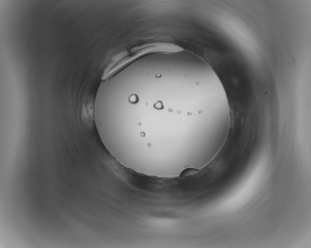 X0000110770190200906221149