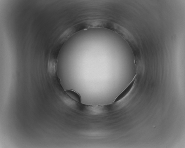 X0000110770191200906221149