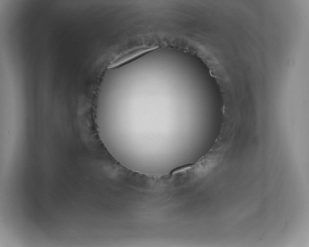 X0000110770192200906221149