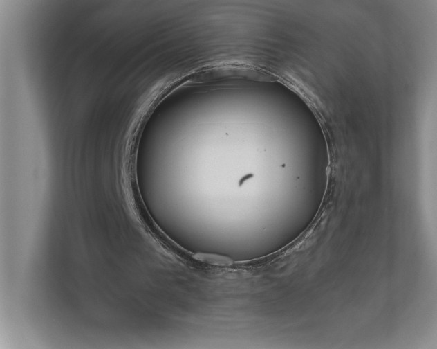 X0000110770193200906221149