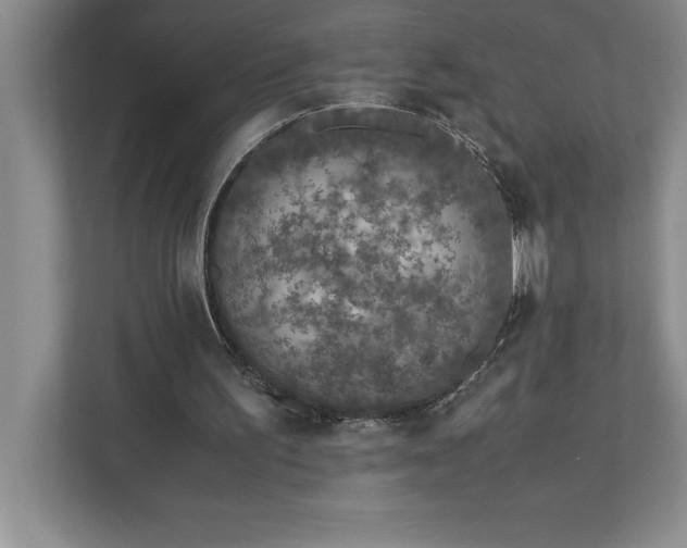 X0000110770195200906221149