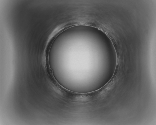 X0000110770198200906221149