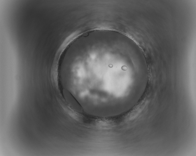 X0000110770199200906221149