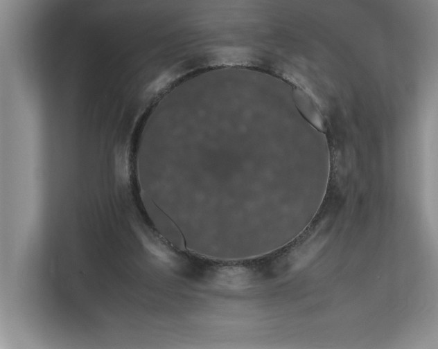 X0000110770203200906221149