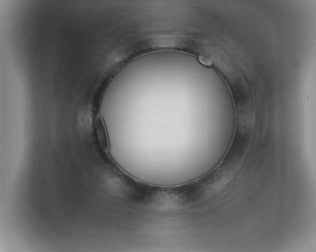 X0000110770207200906221149