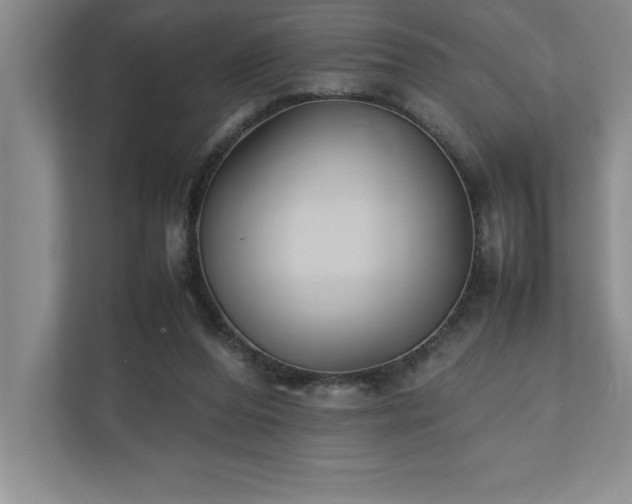 X0000110770208200906221149